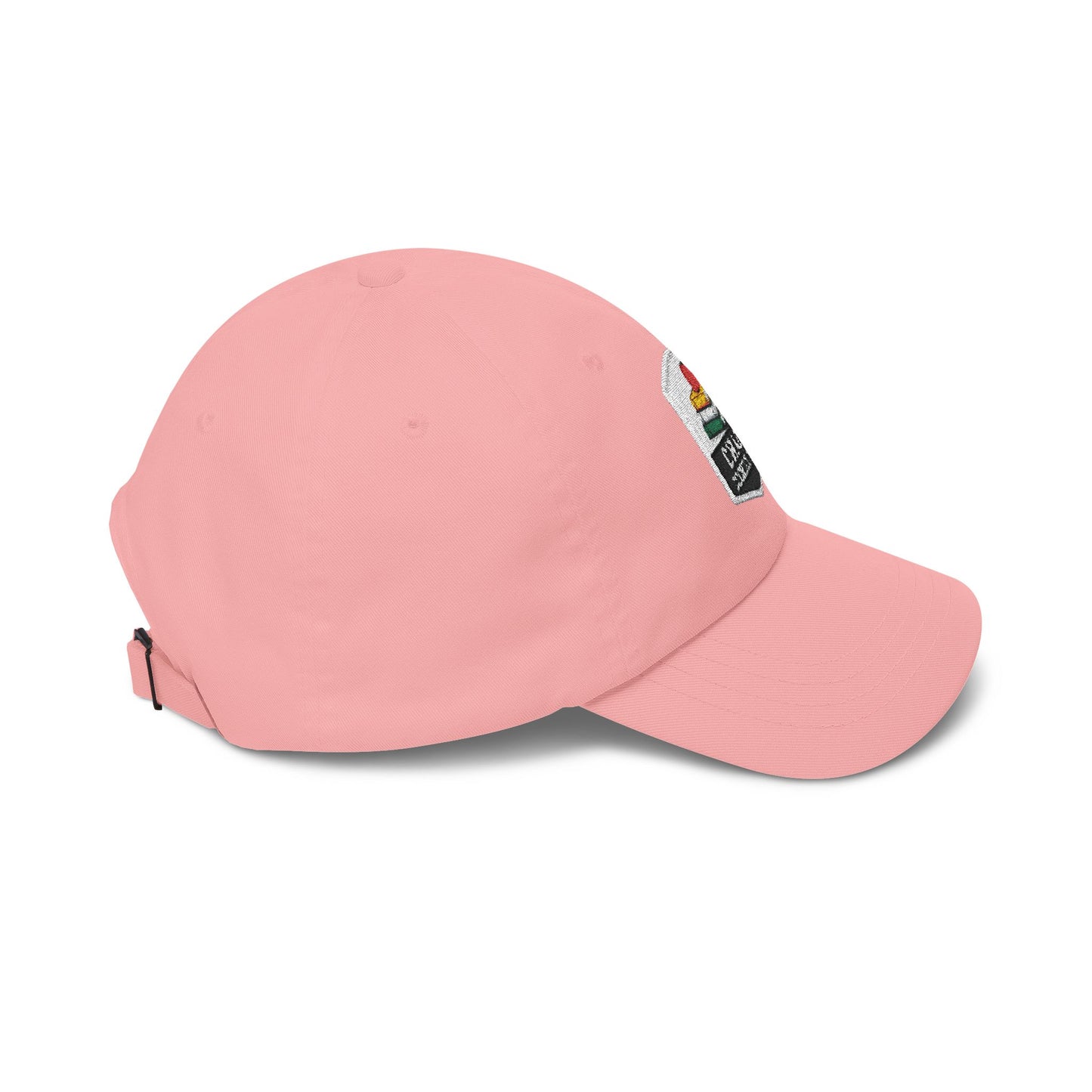 Chaos Coordinator Teacher Dad Cap | Embroidered Books & Apple School Hat