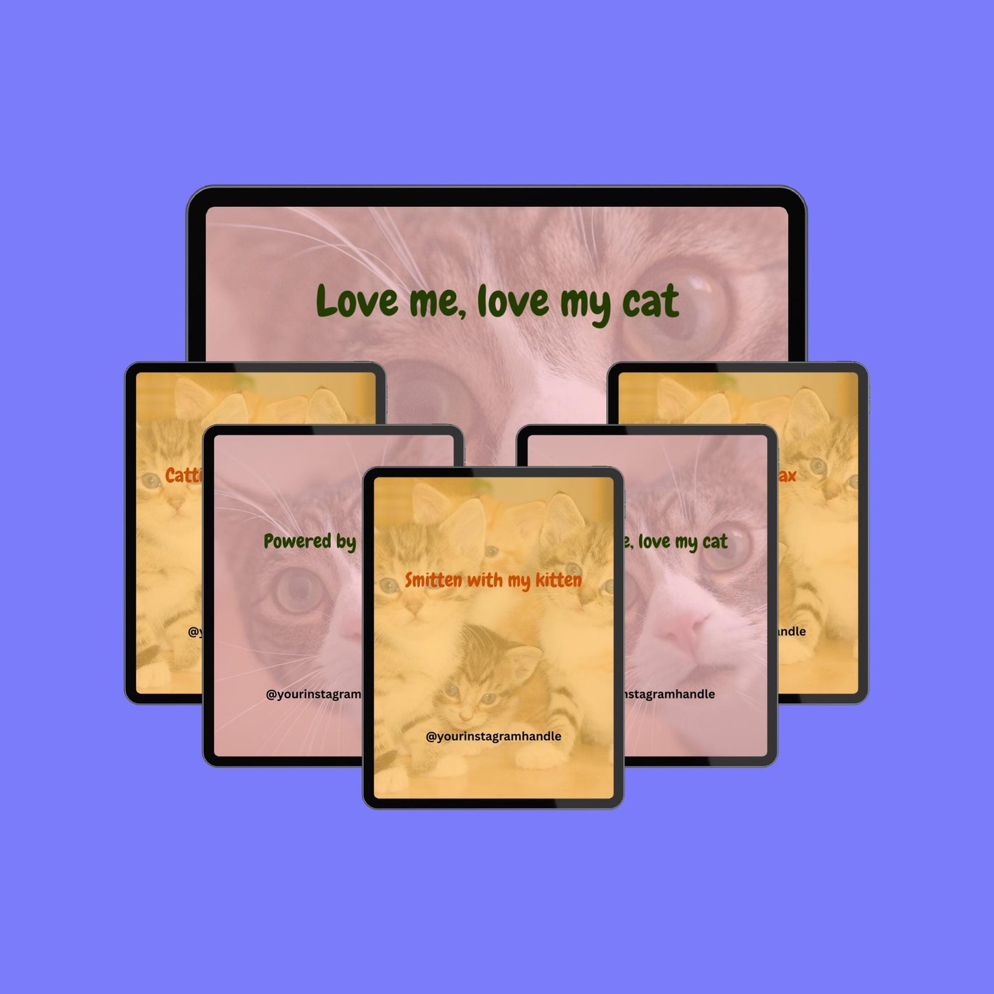 Funny Cat Lover Quotes Canva Template: Editable Social Media Content