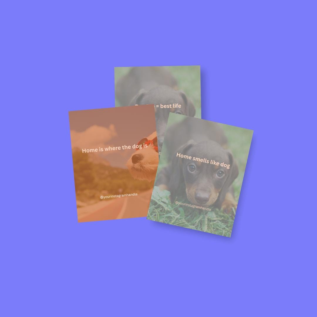 Dog Lover Quote Templates: Canva Editable Social Media Bundle (Digital Download)