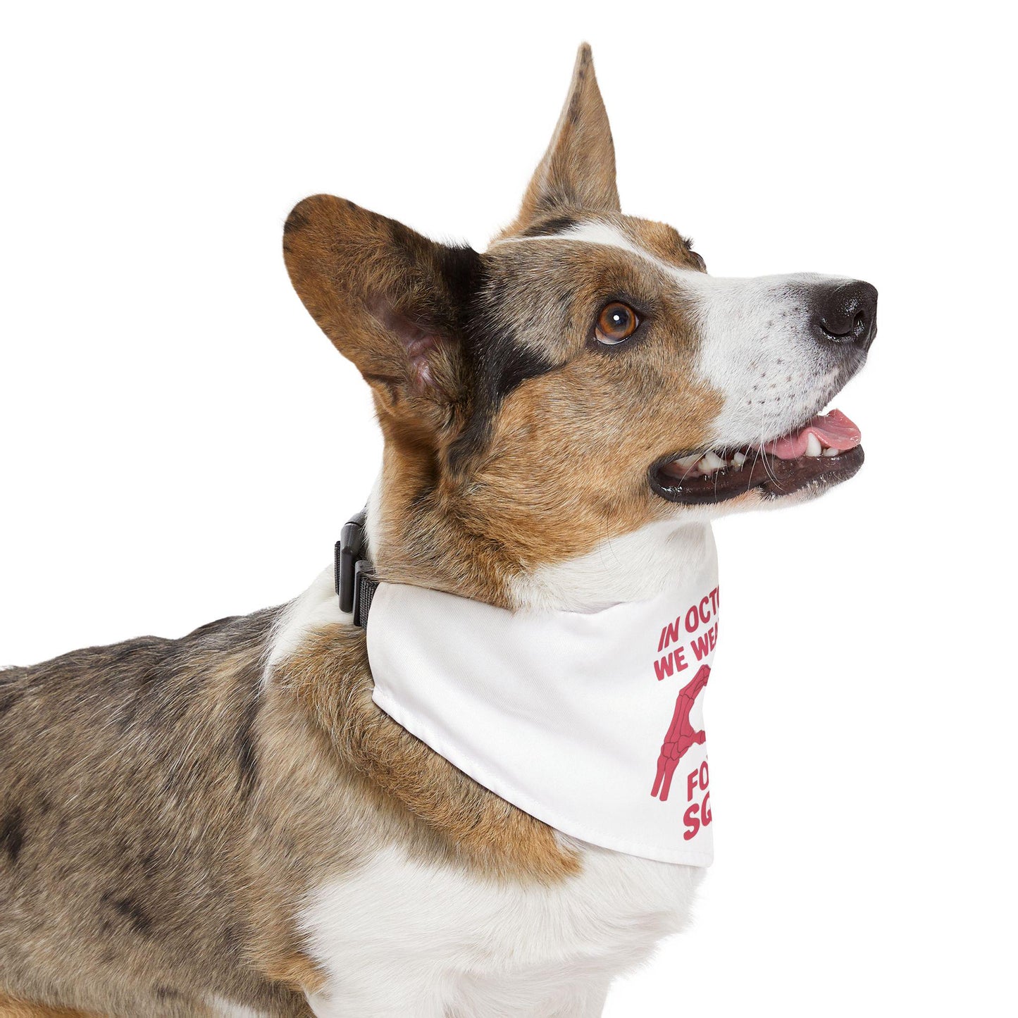 Breast Cancer Awareness Pet Bandana: Stylish Polyester Dog Collar