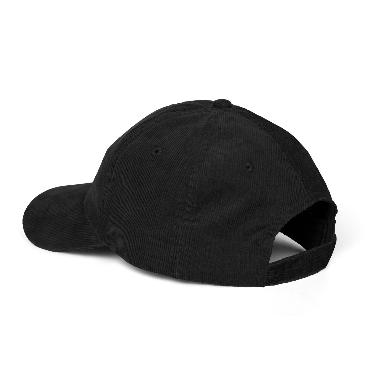Not Today Brain Embroidered Corduroy Cap | Funny Phrase Dad Hat
