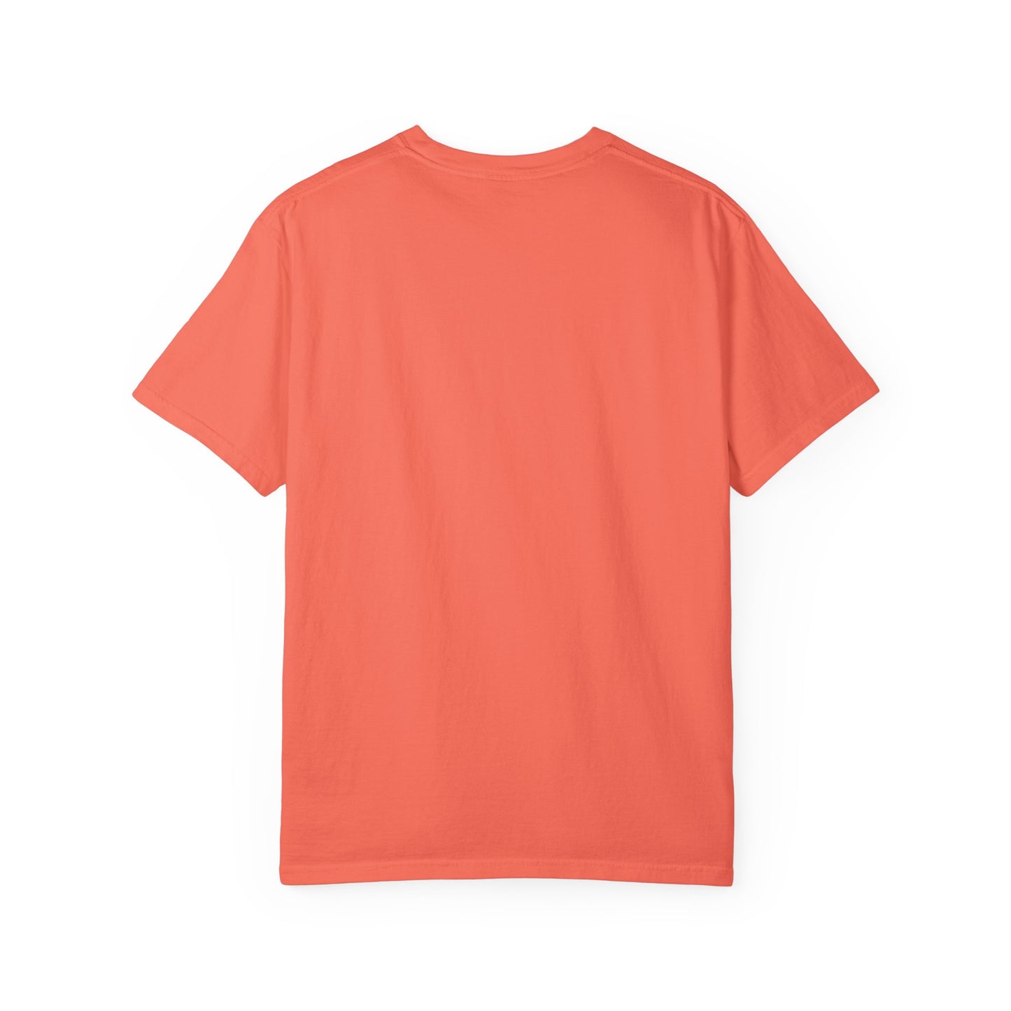 Professional Spectator Unisex T-Shirt Football Season, Game Day Tee, Sports Fan Shirt, Team Spirit Top, Casual Football Apparel
