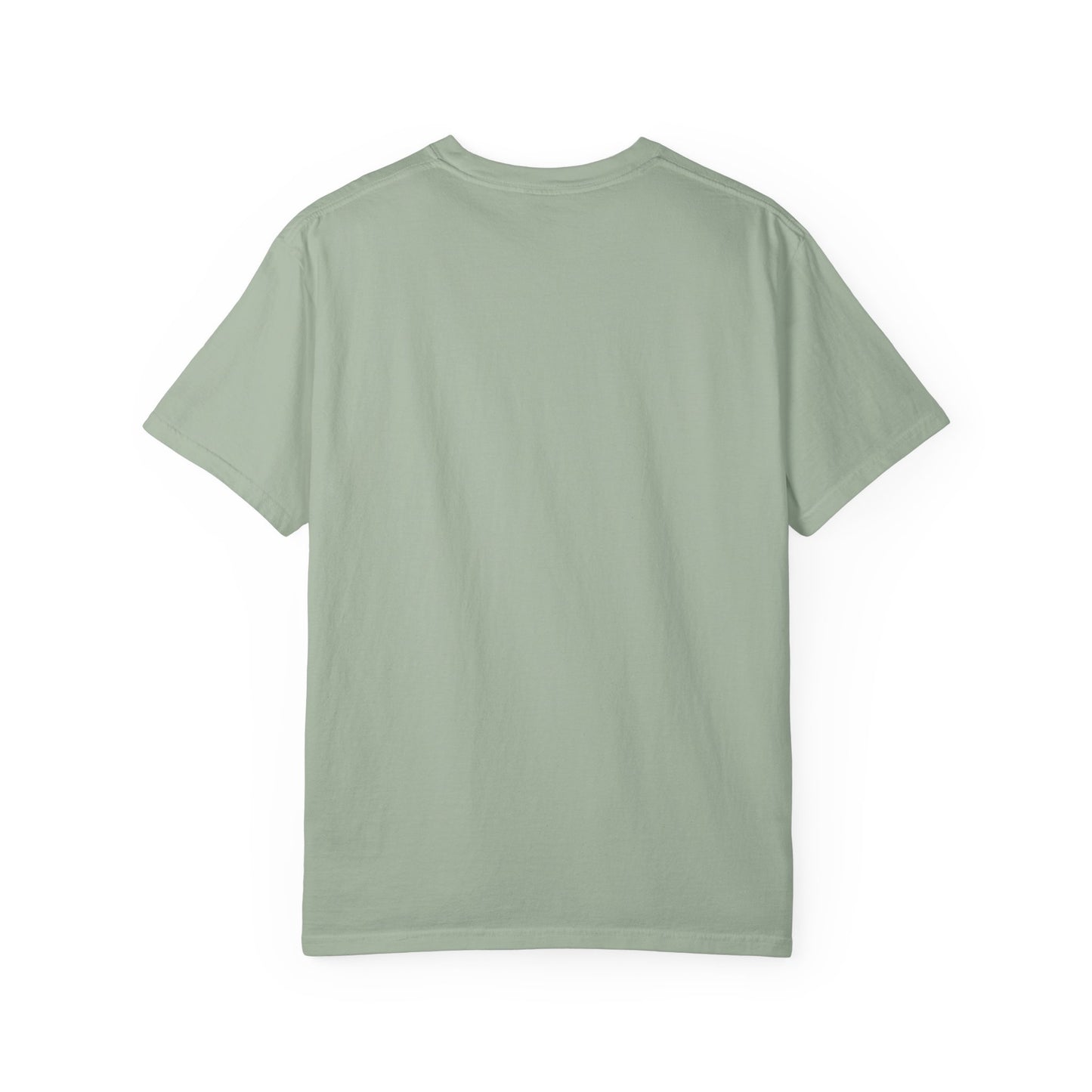 Professional Spectator Unisex T-Shirt Football Season, Game Day Tee, Sports Fan Shirt, Team Spirit Top, Casual Football Apparel