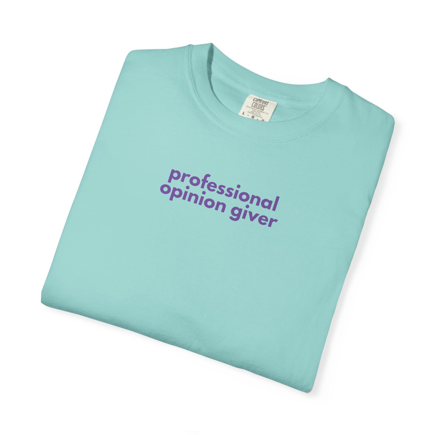 Professional Opinion Giver T-Shirt, Casual Tee, Unisex Top, Gift for Friends, Fun Tee, Everyday Wear, Humorous Apparel