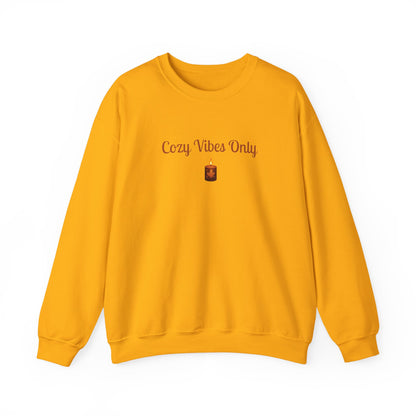 Cozy Vibes Only Sweatshirt, Unisex Crewneck, Casual Wear, Fall Fashion, Gift for Her, Cozy Apparel, Warm Layering