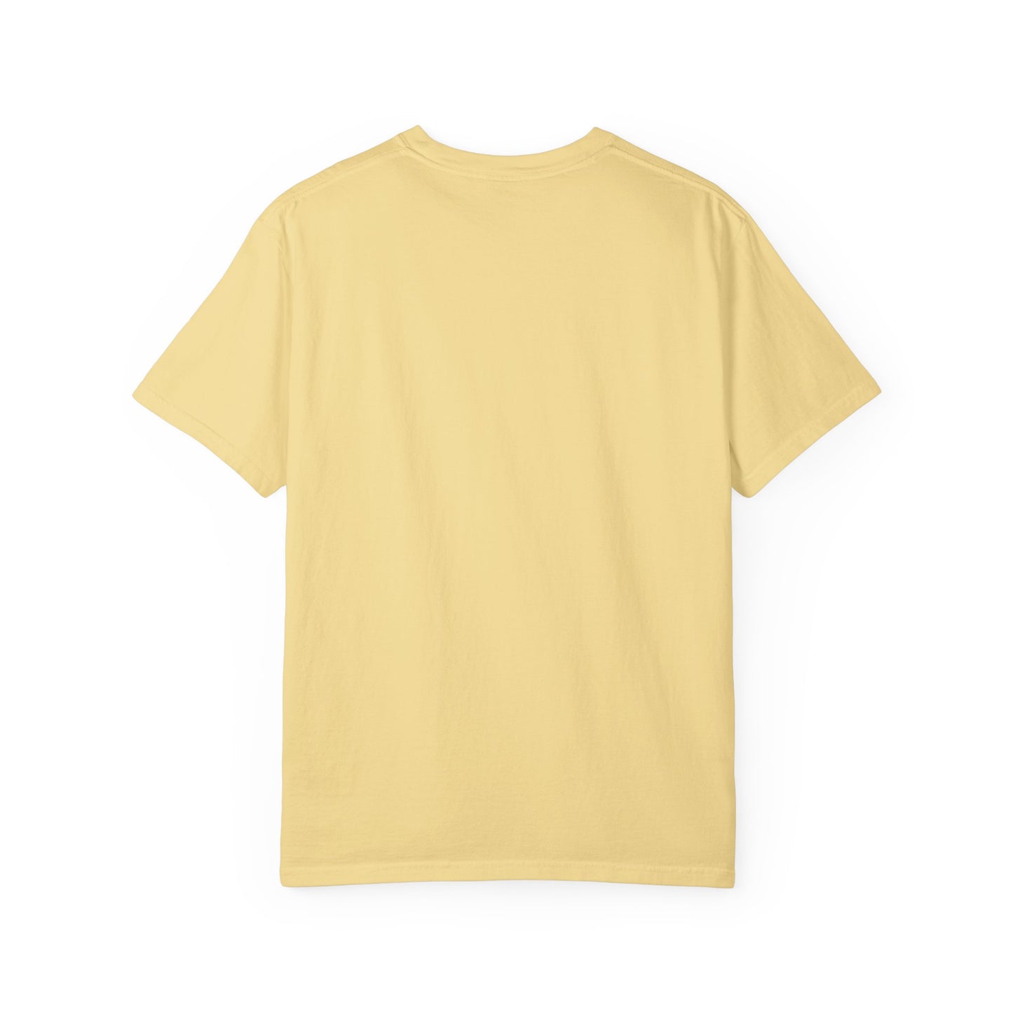 Professional Spectator Unisex T-Shirt Football Season, Game Day Tee, Sports Fan Shirt, Team Spirit Top, Casual Football Apparel