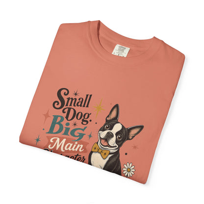 Small Dog Big Main Character Energy T-shirt | Boston Terrier Illustration