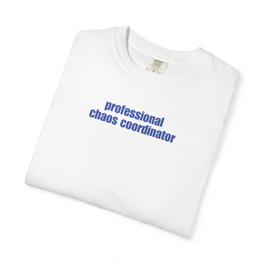 Professional Chaos Coordinator T-Shirt, Funny Gift for Organizers, Unisex Tee, Comfortable Casual Wear, Perfect for Birthdays, Work, [...]