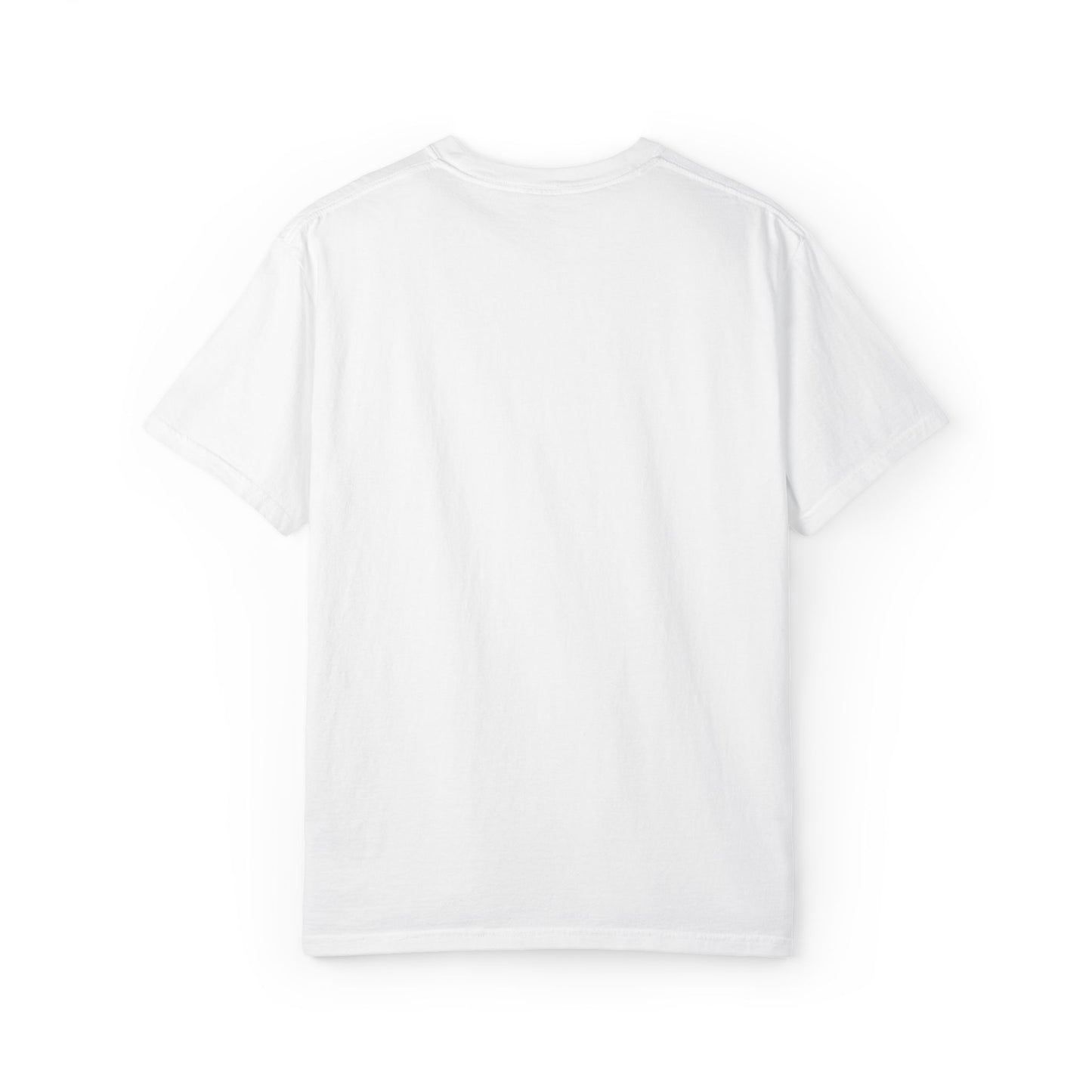 Daddy's Sidekick Embroidered T-Shirt | Daddy Sidekick Tee