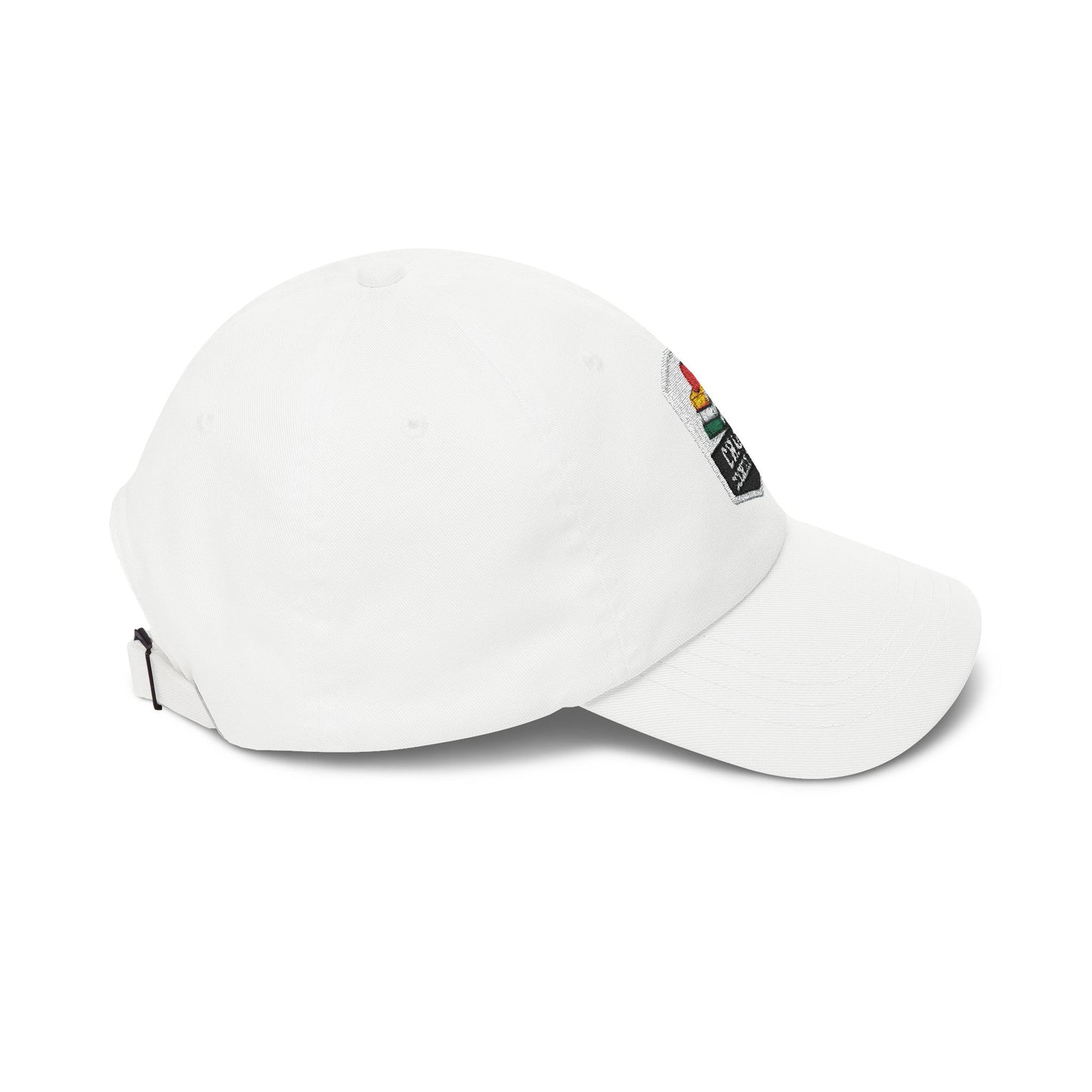 Chaos Coordinator Teacher Dad Cap | Embroidered Books & Apple School Hat