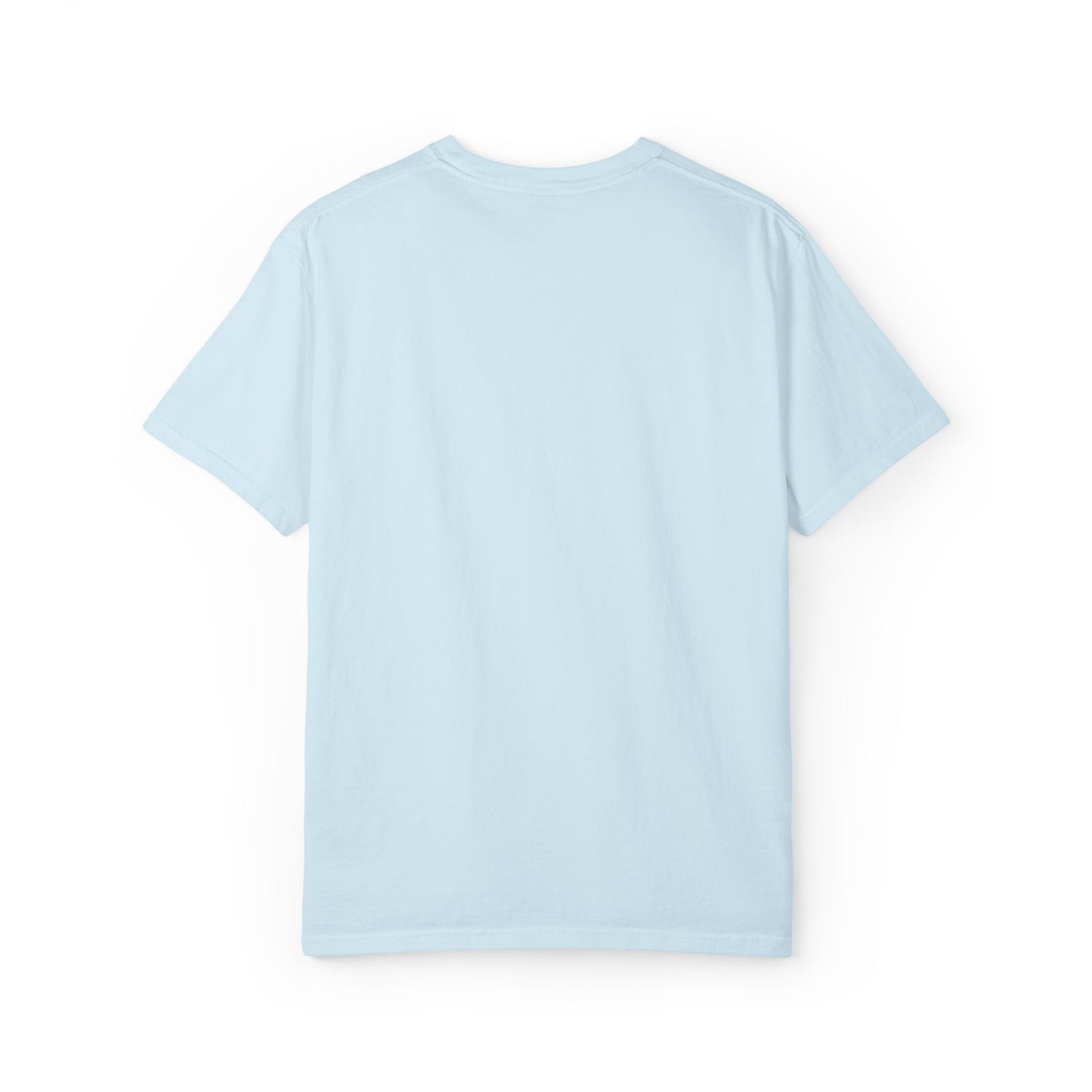 Daddy's Sidekick Embroidered T-Shirt | Daddy Sidekick Tee