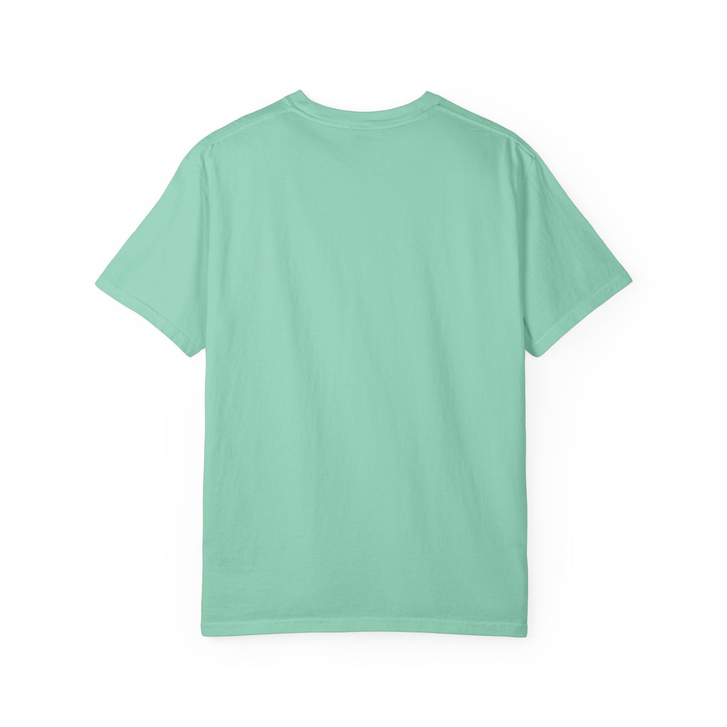 Professional Spectator Unisex T-Shirt Football Season, Game Day Tee, Sports Fan Shirt, Team Spirit Top, Casual Football Apparel