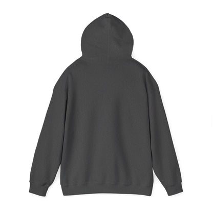 Autumn Mood Sweatshirt, Fall Vibes Hoodie, Cozy Hooded Jumper, Seasonal Pullover, Warm Sweater, Thanksgiving Gift