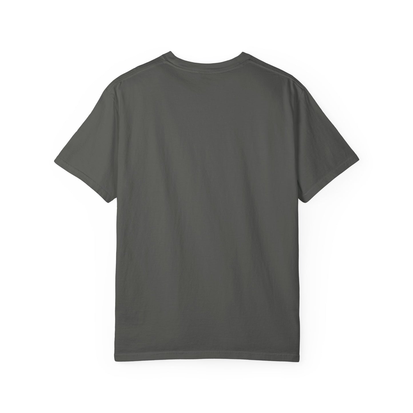 Professional Spectator Unisex T-Shirt Football Season, Game Day Tee, Sports Fan Shirt, Team Spirit Top, Casual Football Apparel