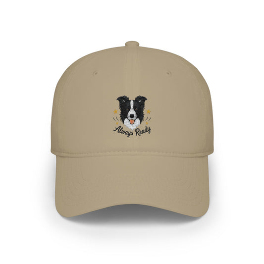 Border Collie 'Always Ready' Embroidered Baseball Cap