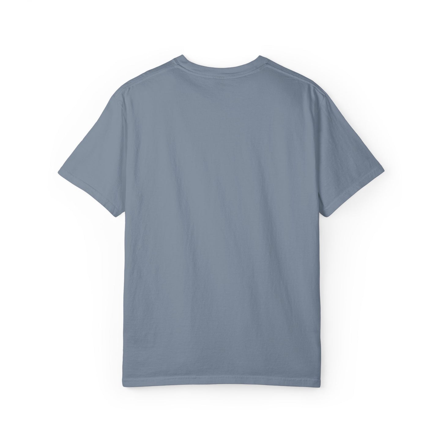 Daddy's Sidekick Embroidered T-Shirt | Daddy Sidekick Tee