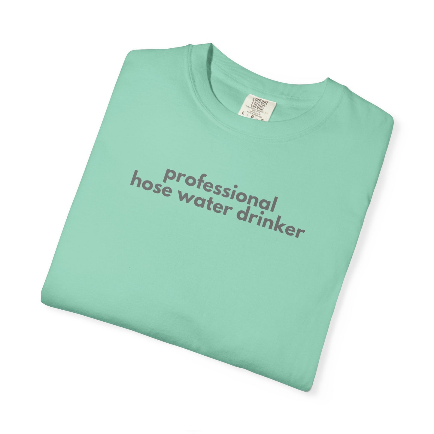 Funny Professional Hose Water Drinker Gen X Humor Unisex T-shirt, Sarcastic Tee, Novelty Shirt, Gift for Gen X, Humorous Graphic Tee