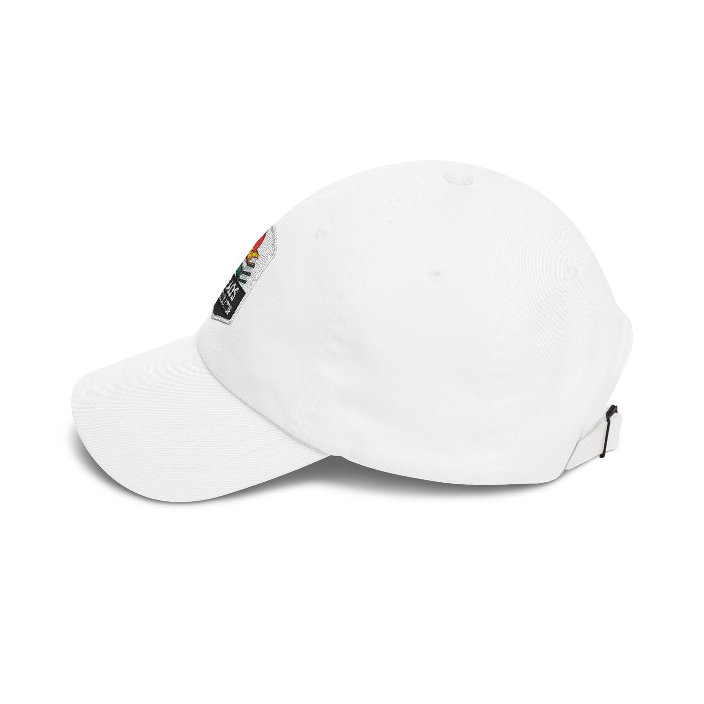 Chaos Coordinator Teacher Dad Cap | Embroidered Books & Apple School Hat