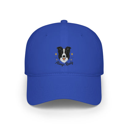 Border Collie 'Always Ready' Embroidered Baseball Cap