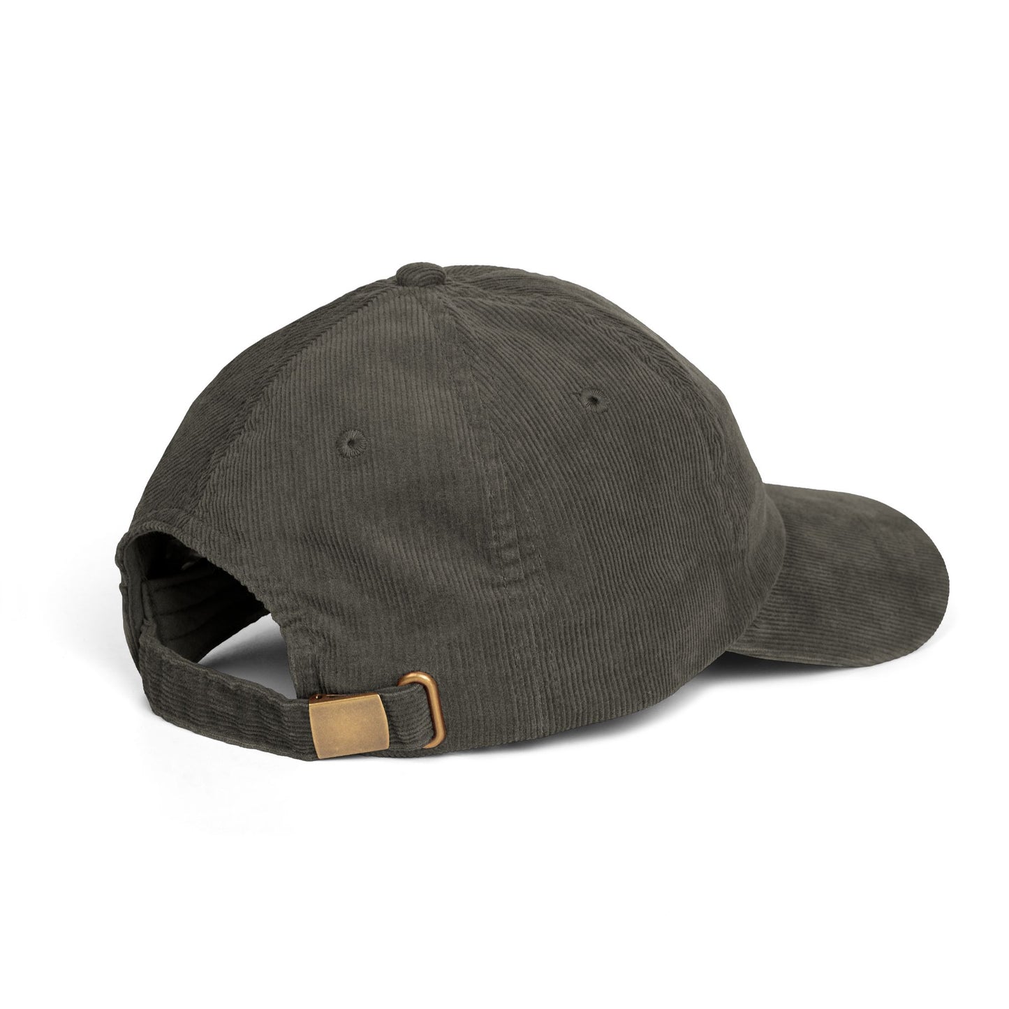 Not Today Brain Embroidered Corduroy Cap | Funny Phrase Dad Hat