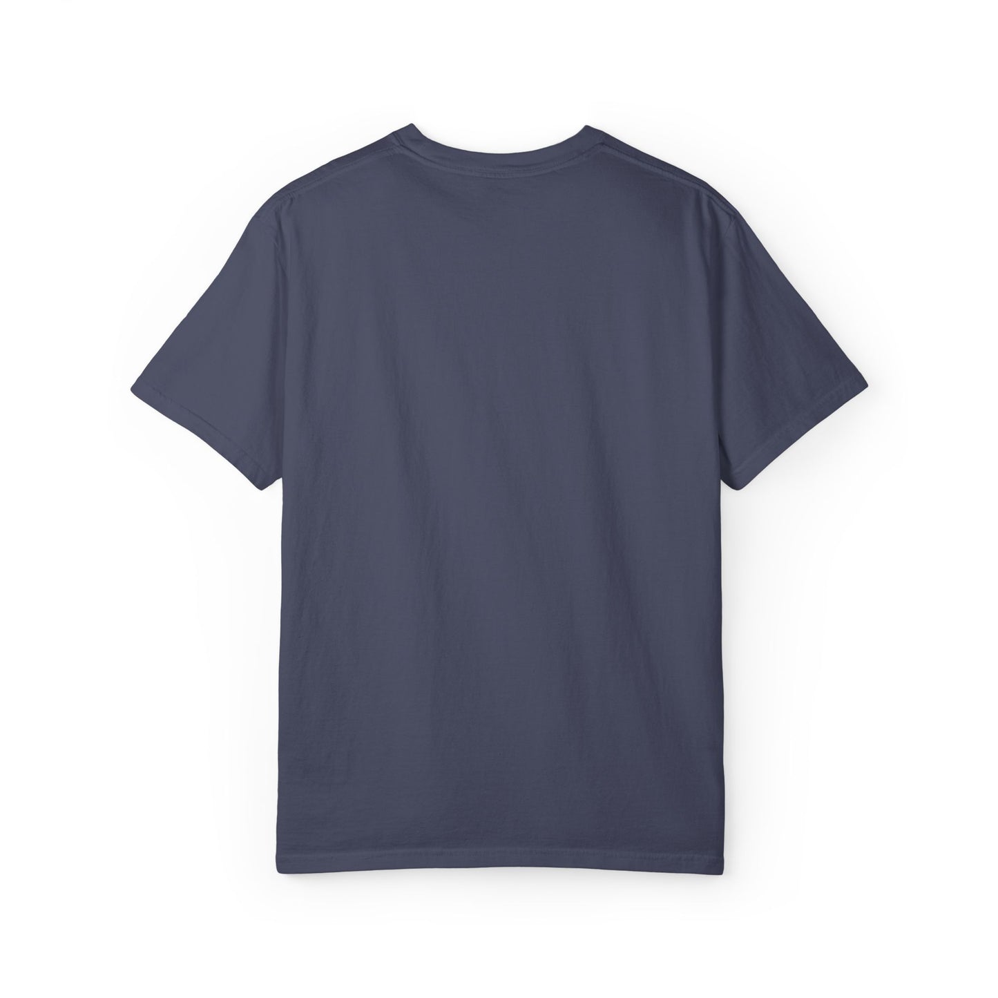 Daddy's Sidekick Embroidered T-Shirt | Daddy Sidekick Tee