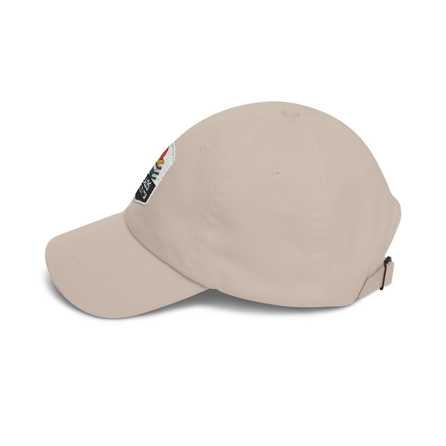 Chaos Coordinator Teacher Dad Cap | Embroidered Books & Apple School Hat