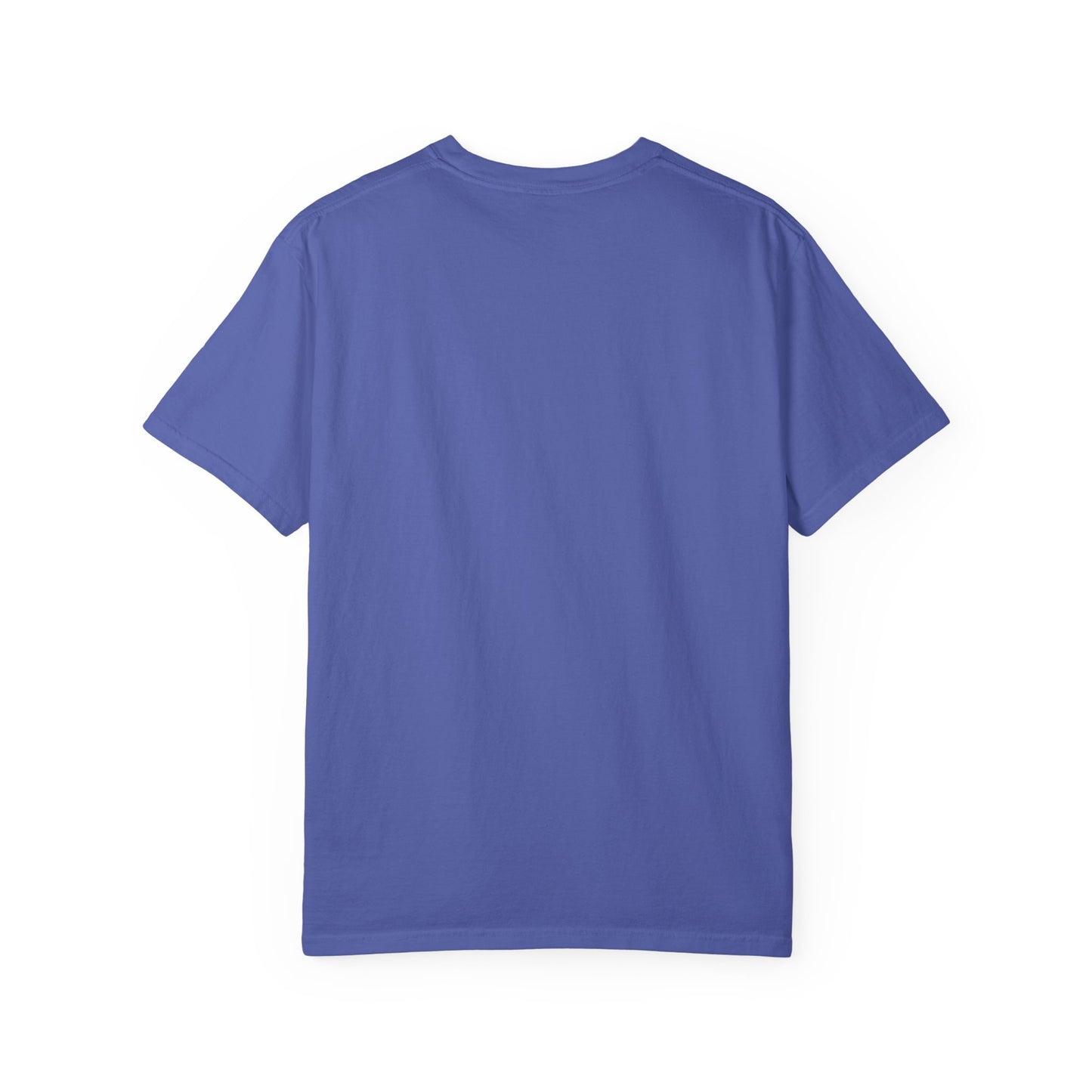 Professional Spectator Unisex T-Shirt Football Season, Game Day Tee, Sports Fan Shirt, Team Spirit Top, Casual Football Apparel