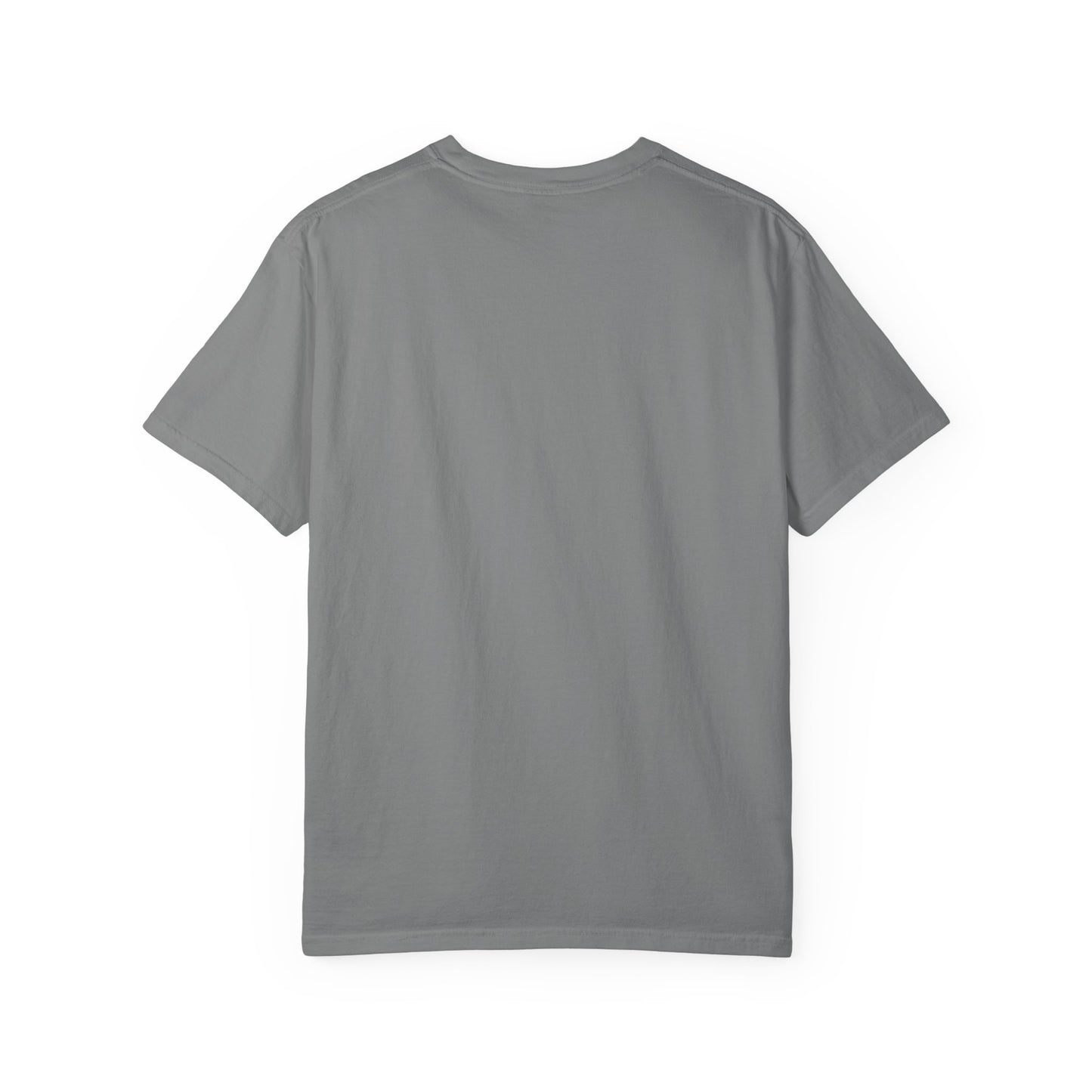 Professional Spectator Unisex T-Shirt Football Season, Game Day Tee, Sports Fan Shirt, Team Spirit Top, Casual Football Apparel