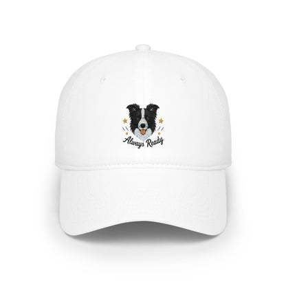 Border Collie 'Always Ready' Embroidered Baseball Cap