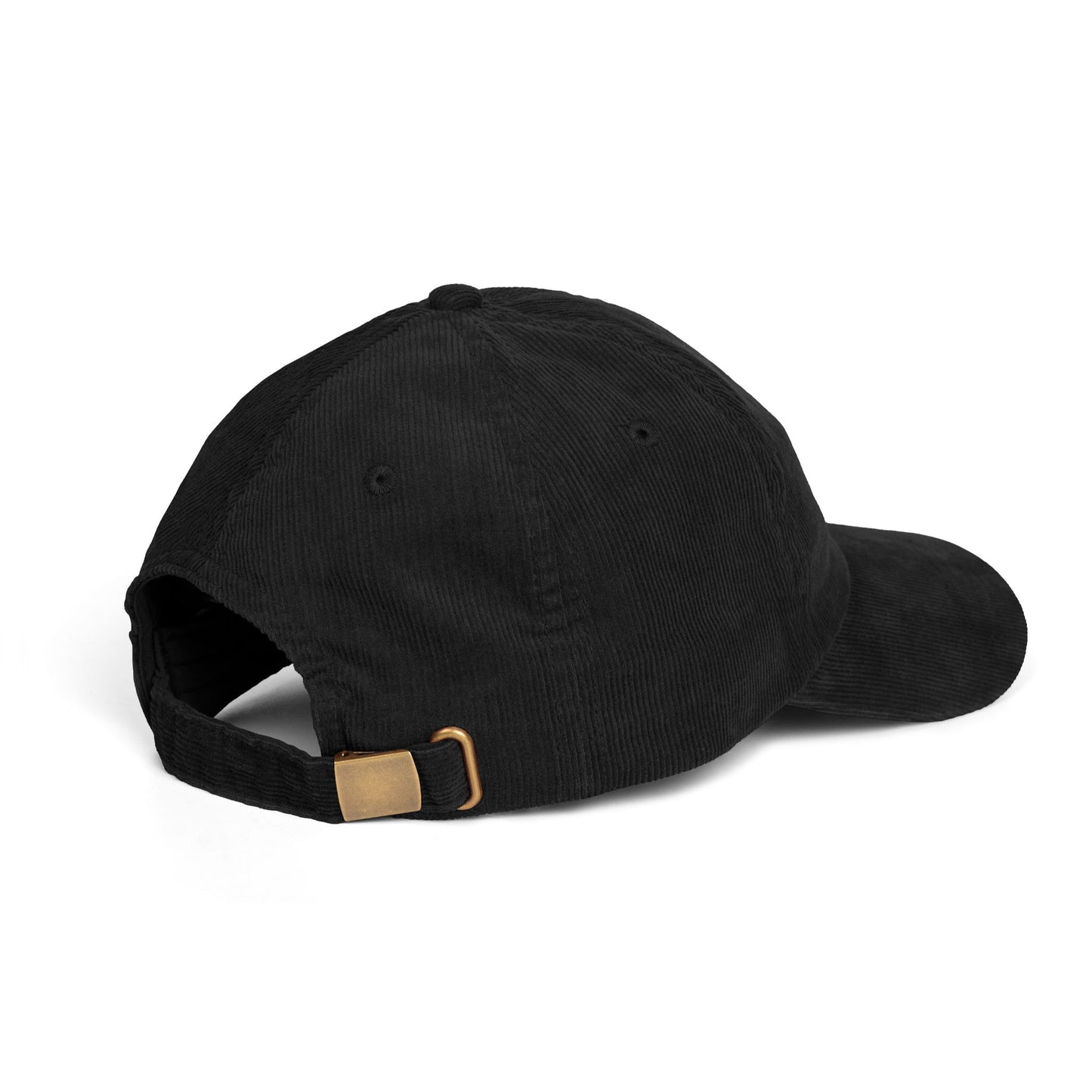 Not Today Brain Embroidered Corduroy Cap | Funny Phrase Dad Hat
