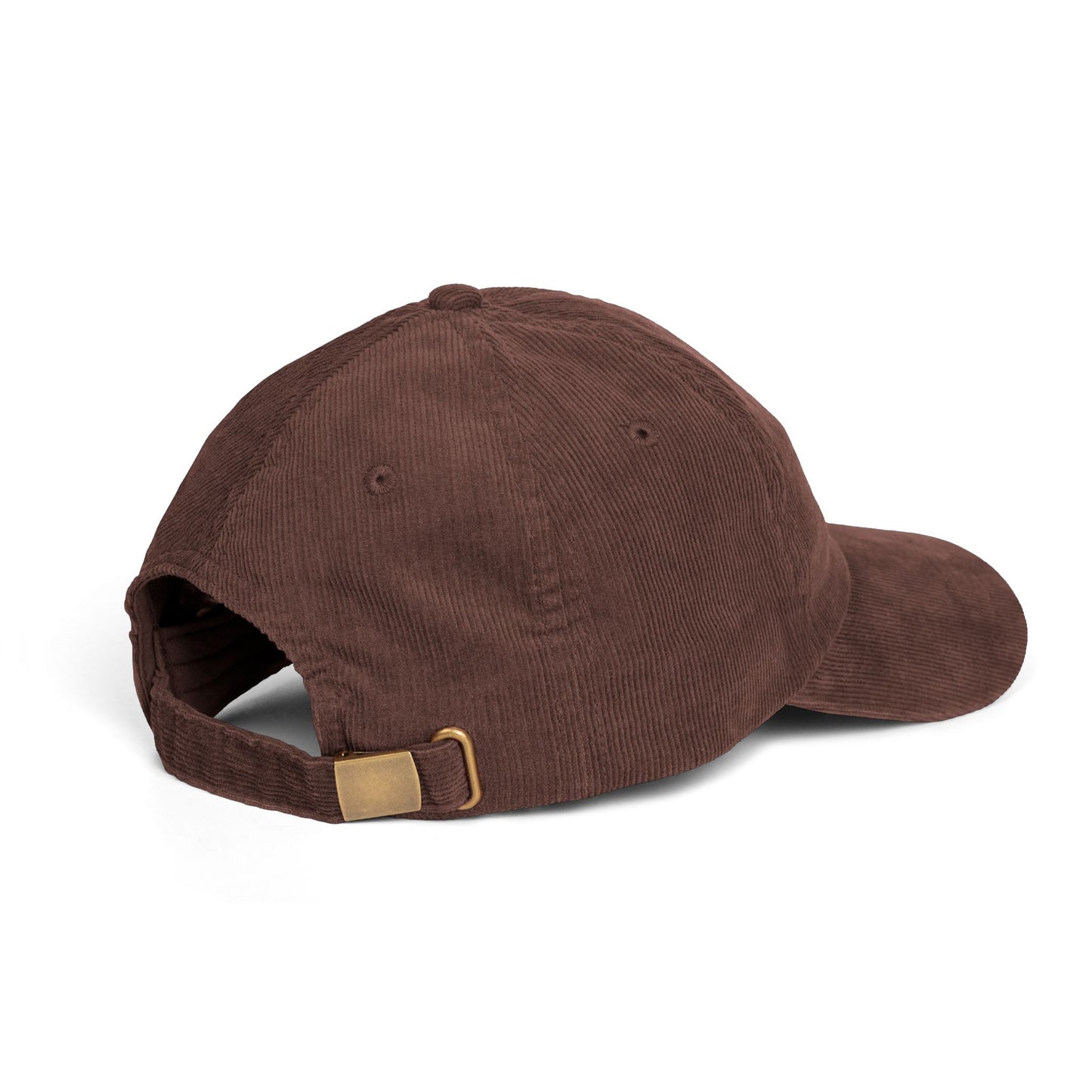 Not Today Brain Embroidered Corduroy Cap | Funny Phrase Dad Hat