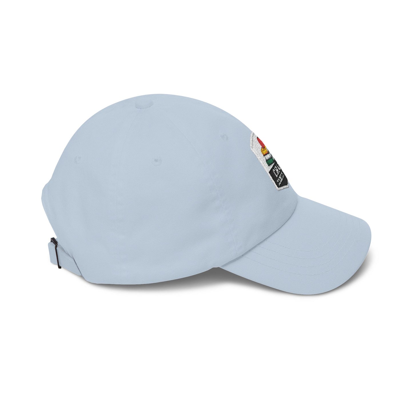 Chaos Coordinator Teacher Dad Cap | Embroidered Books & Apple School Hat