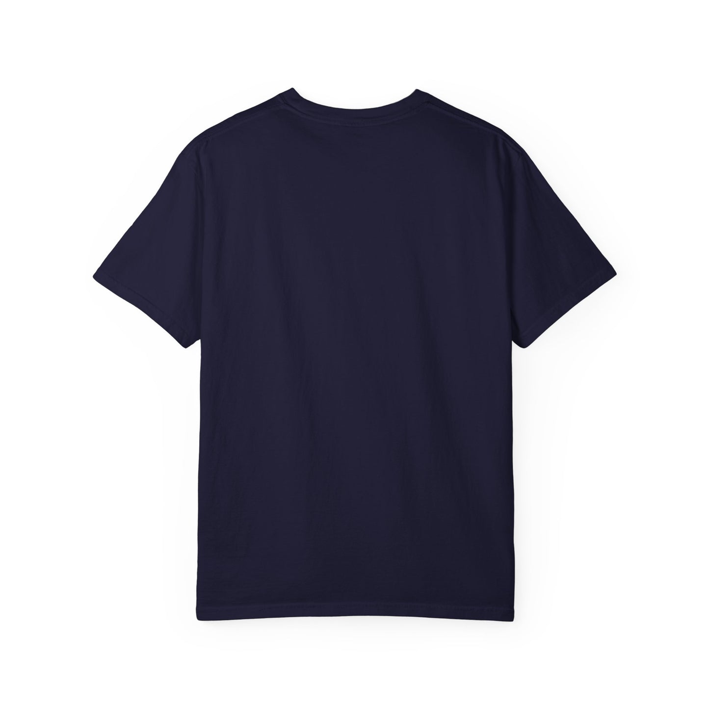 Adventure Has a Husky T-shirt | Husky Dog Graphic, Northern Lights, Outdoors