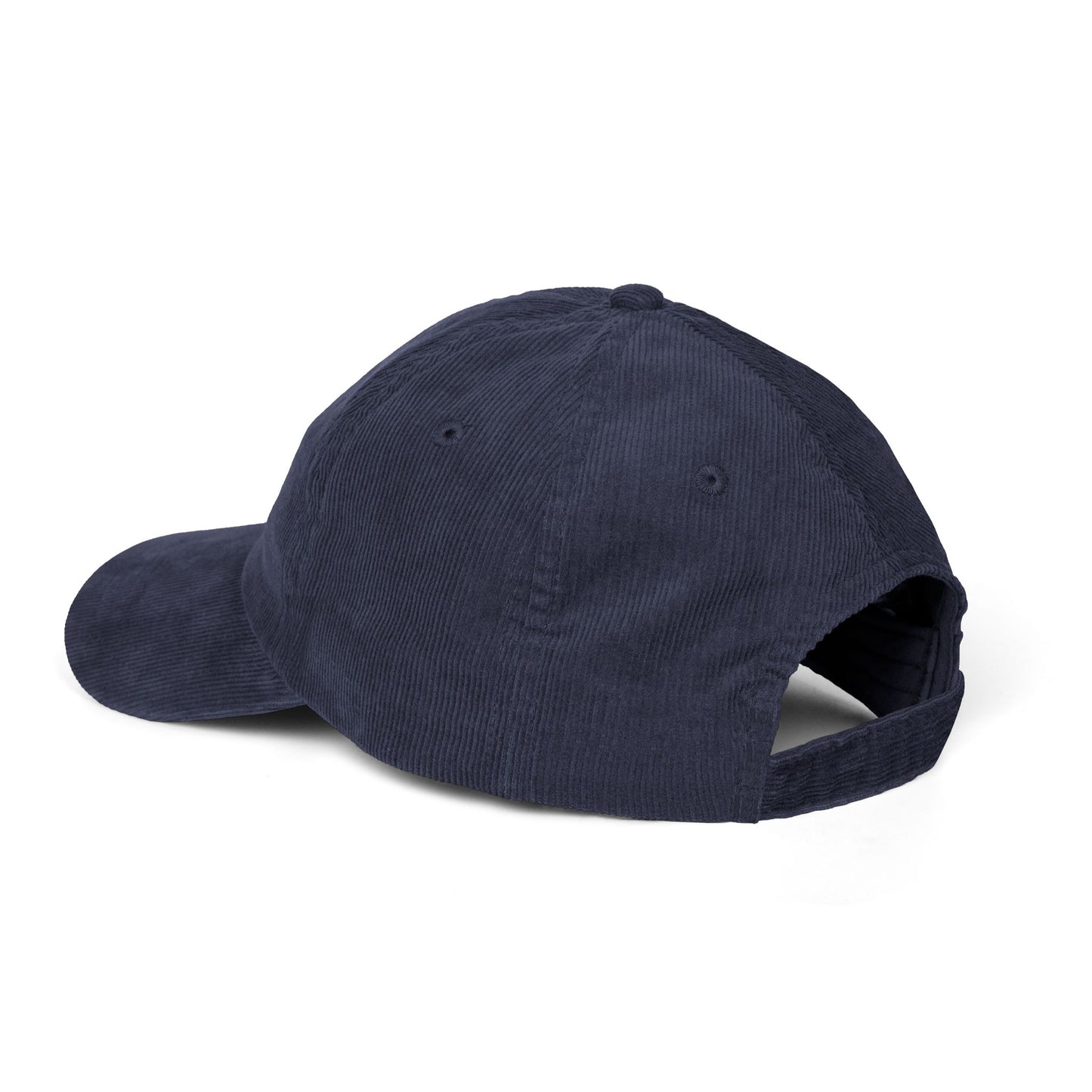 Not Today Brain Embroidered Corduroy Cap | Funny Phrase Dad Hat