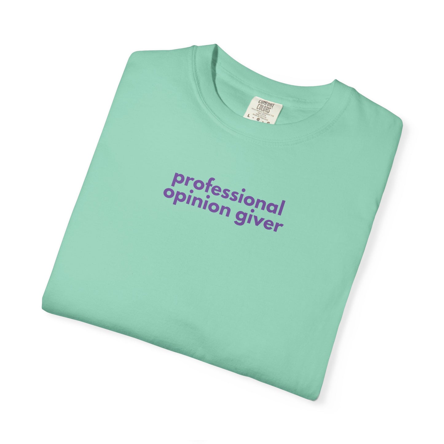 Professional Opinion Giver T-Shirt, Casual Tee, Unisex Top, Gift for Friends, Fun Tee, Everyday Wear, Humorous Apparel