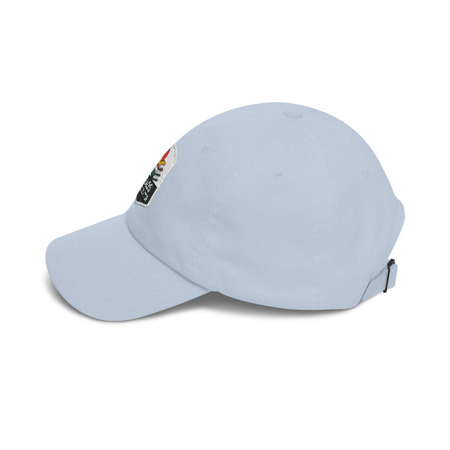Chaos Coordinator Teacher Dad Cap | Embroidered Books & Apple School Hat