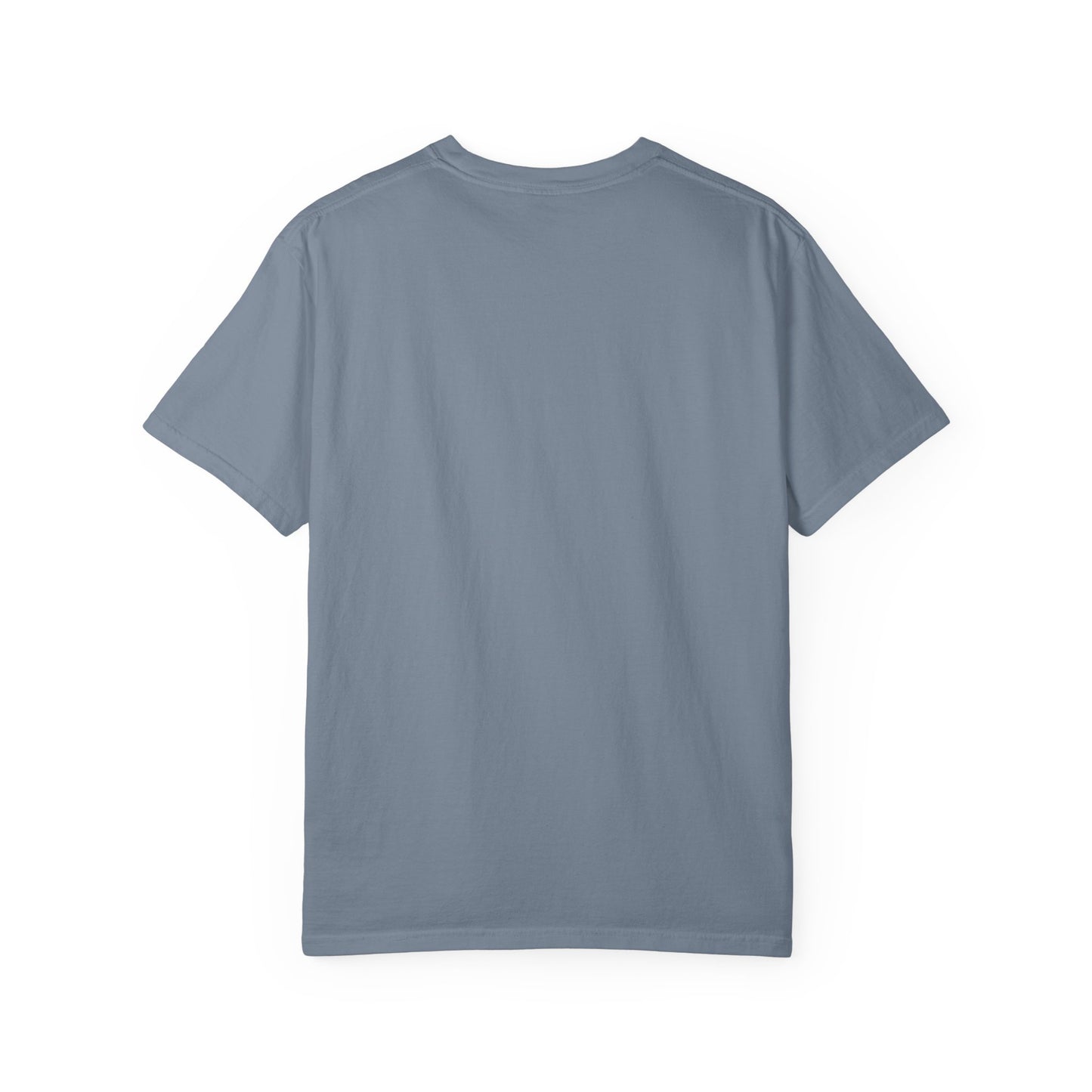 Professional Spectator Unisex T-Shirt Football Season, Game Day Tee, Sports Fan Shirt, Team Spirit Top, Casual Football Apparel